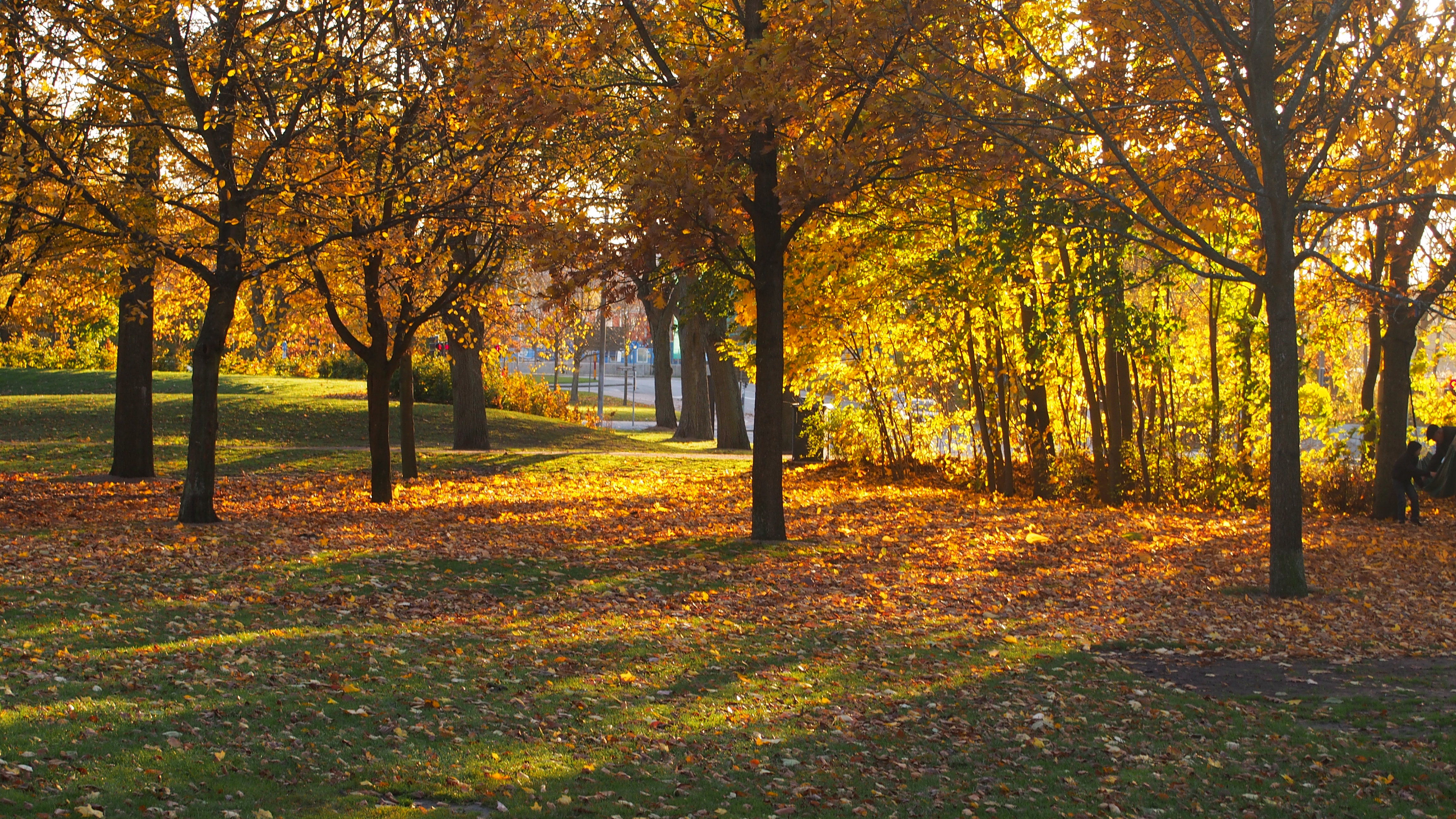 Stadsparken